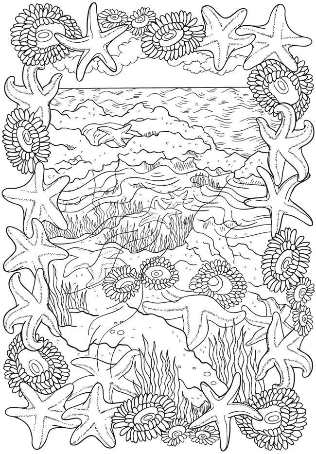 55 Beach Coloring Book Pages 73