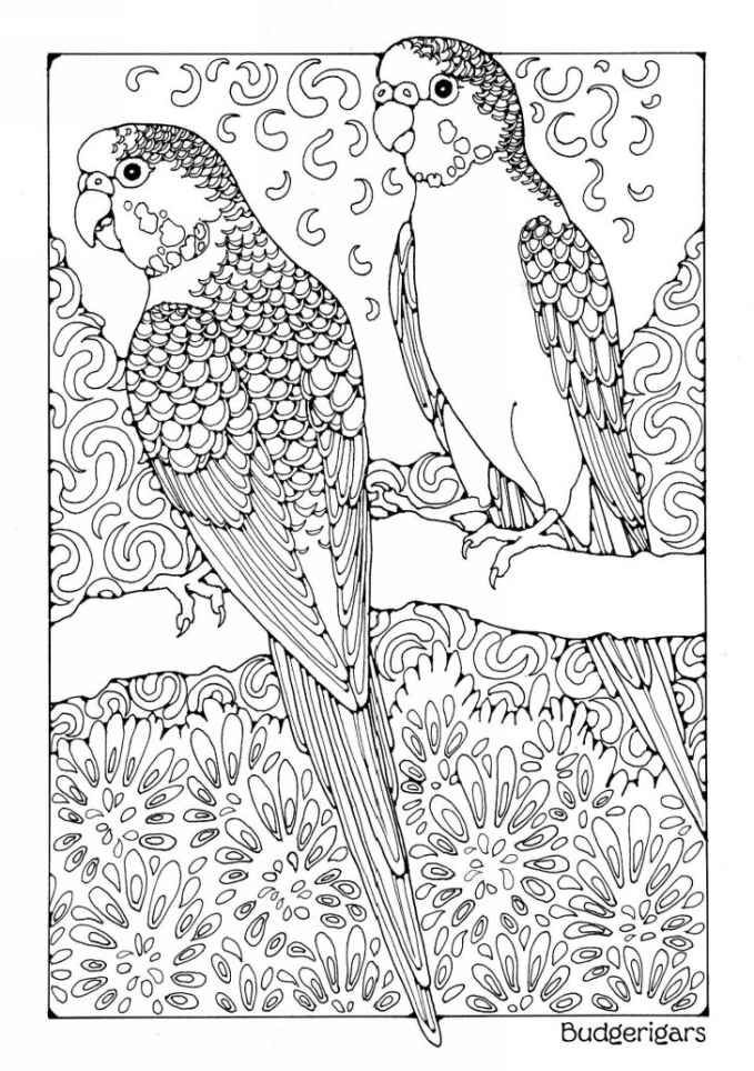 Amazon Kdp Coloring Books 35