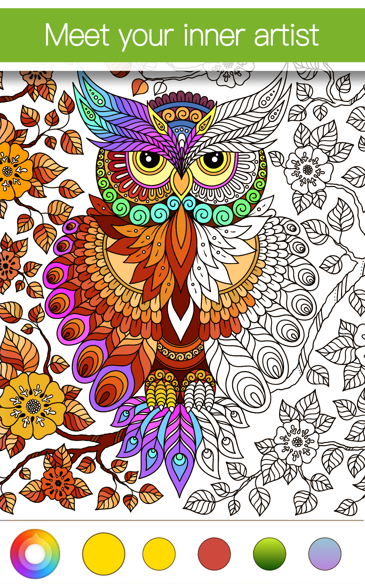 Amazon Kdp Coloring Books 62