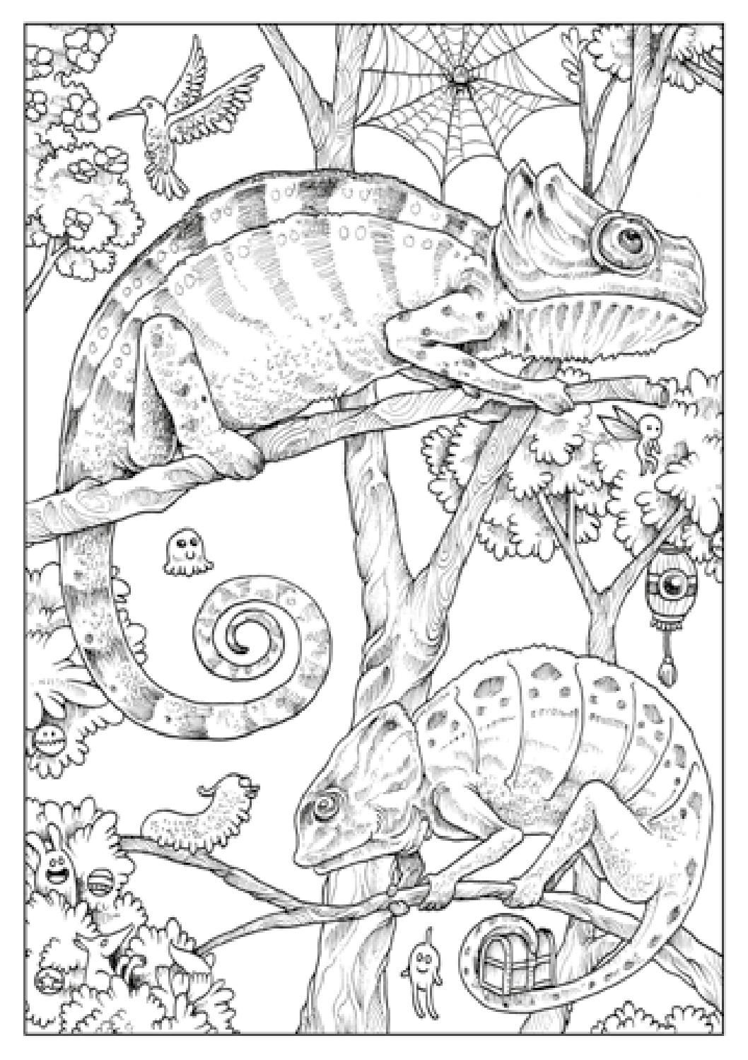 Animorphia Coloring Book 2