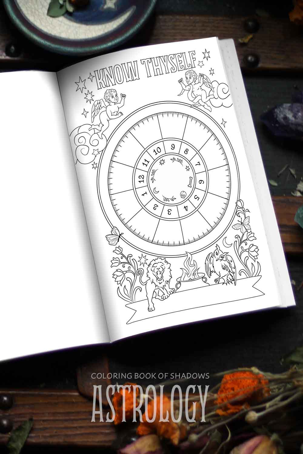 Astrology Coloring Book 3