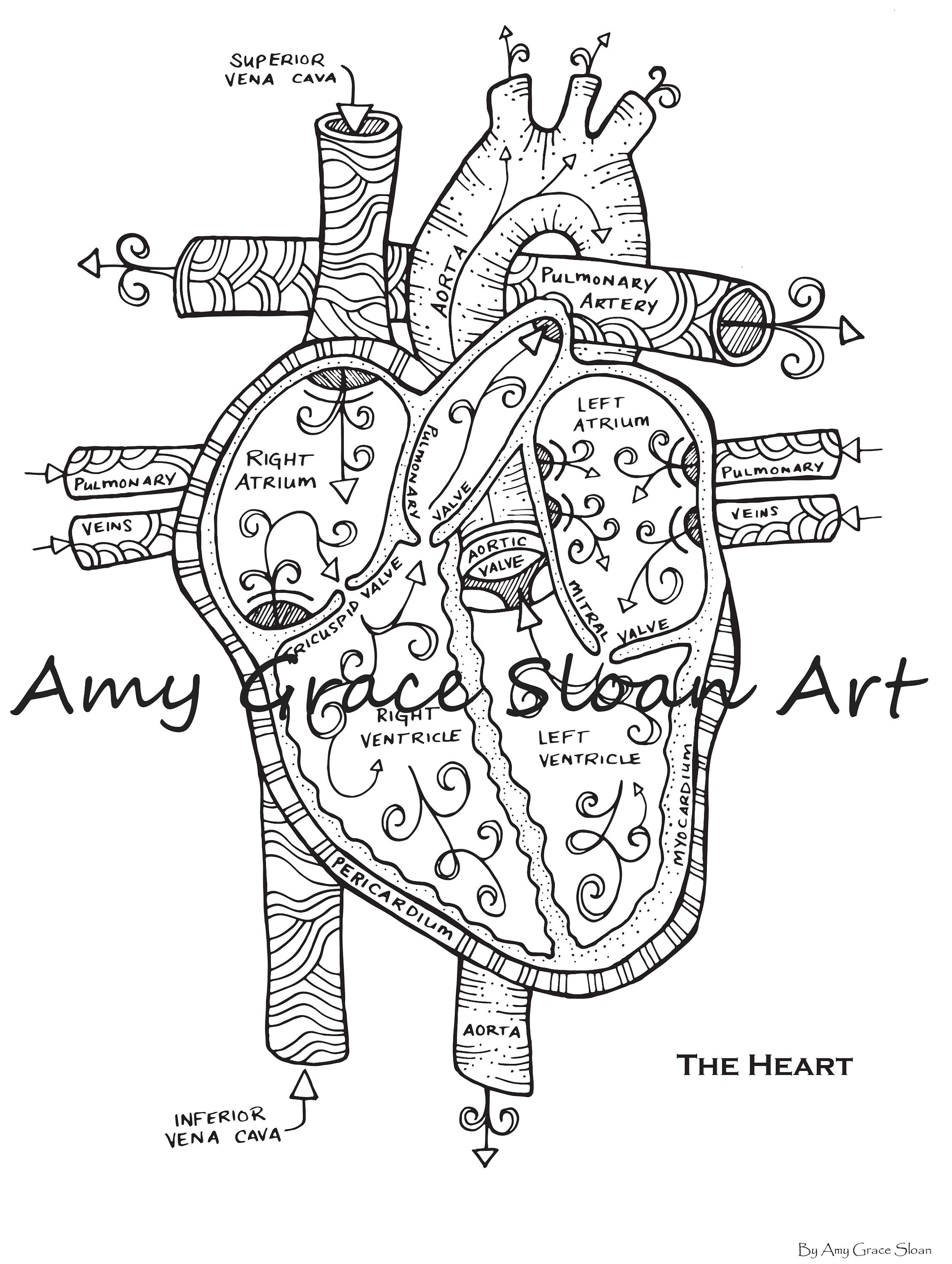 45 Best Anatomy Coloring Book 21