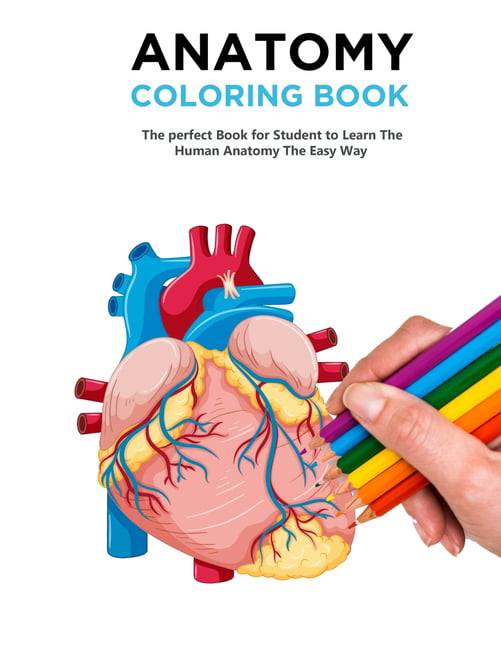 45 Best Anatomy Coloring Book 37