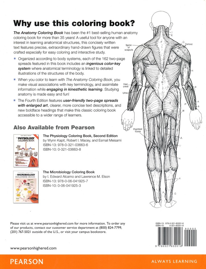 45 Best Anatomy Coloring Book 38