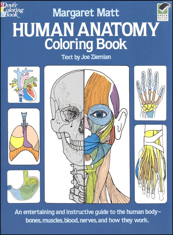 45 Best Anatomy Coloring Book 39