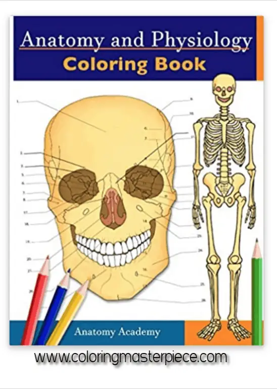 45 Best Anatomy Coloring Book 41