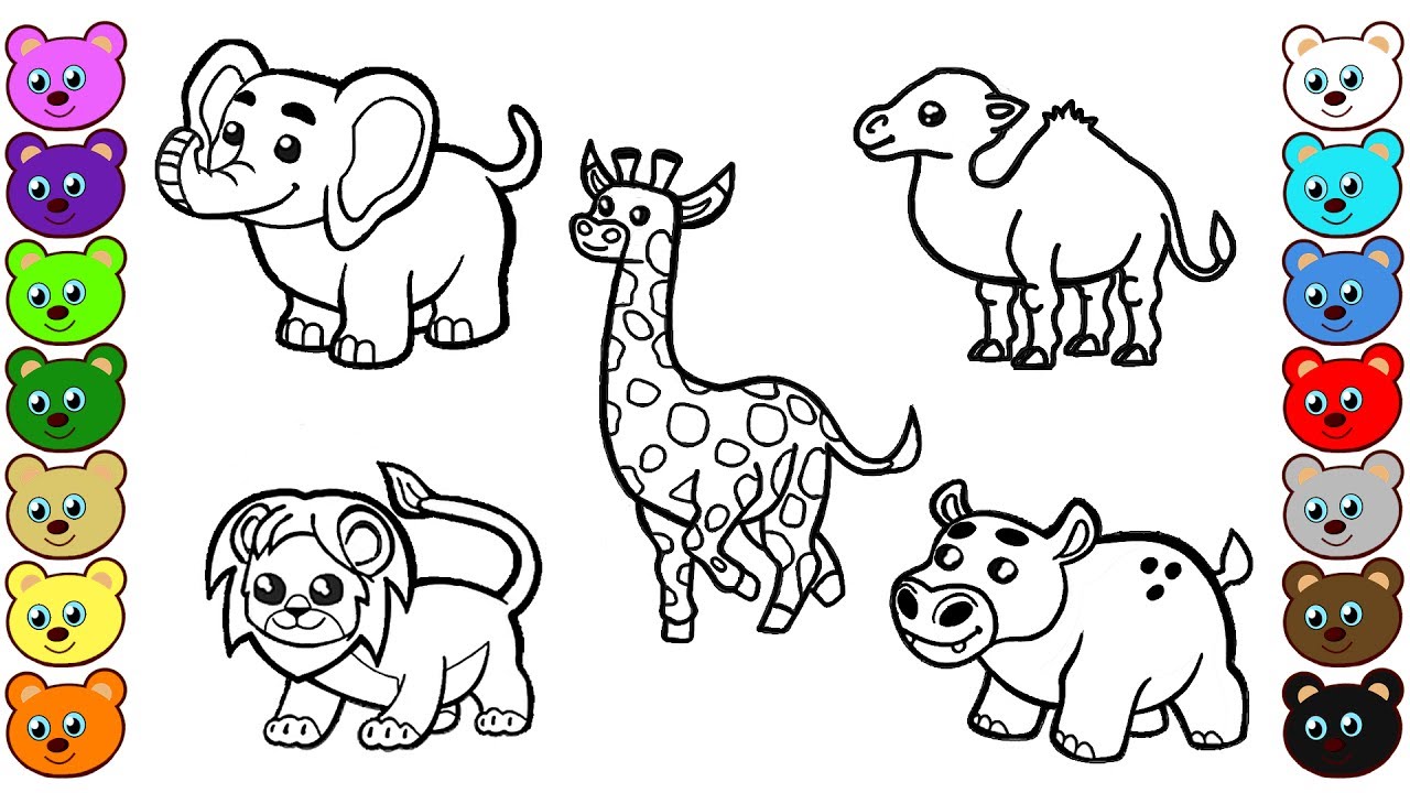 45 Coloring Book Animal 35