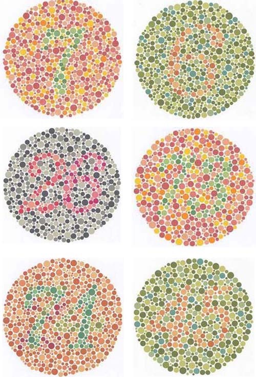 50 Color Blind Test Book 3