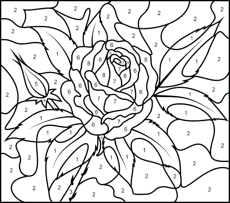 51 Coloring Book By Numbers For Adults 22