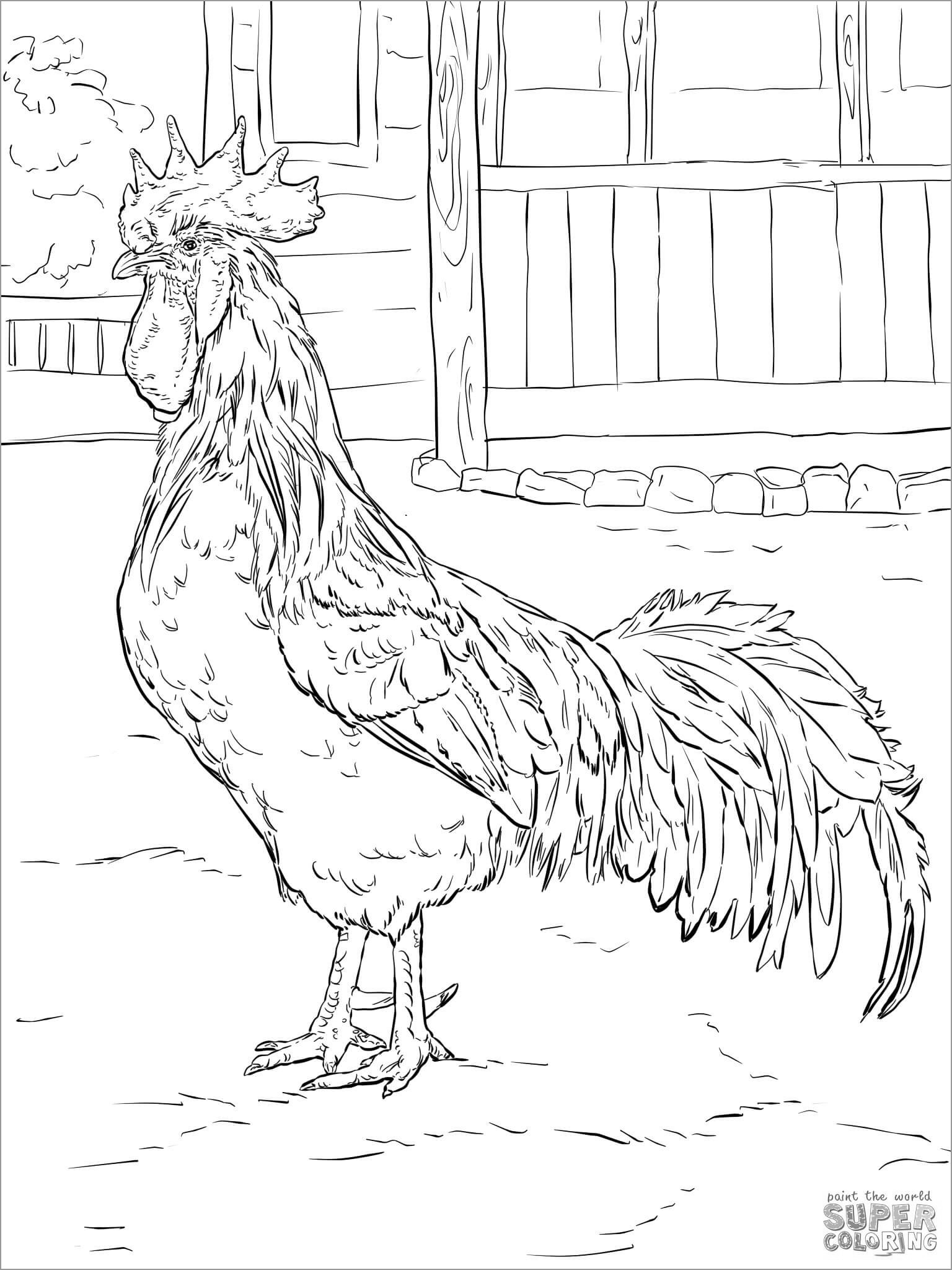 55 Chicken Coloring Book Pages 20