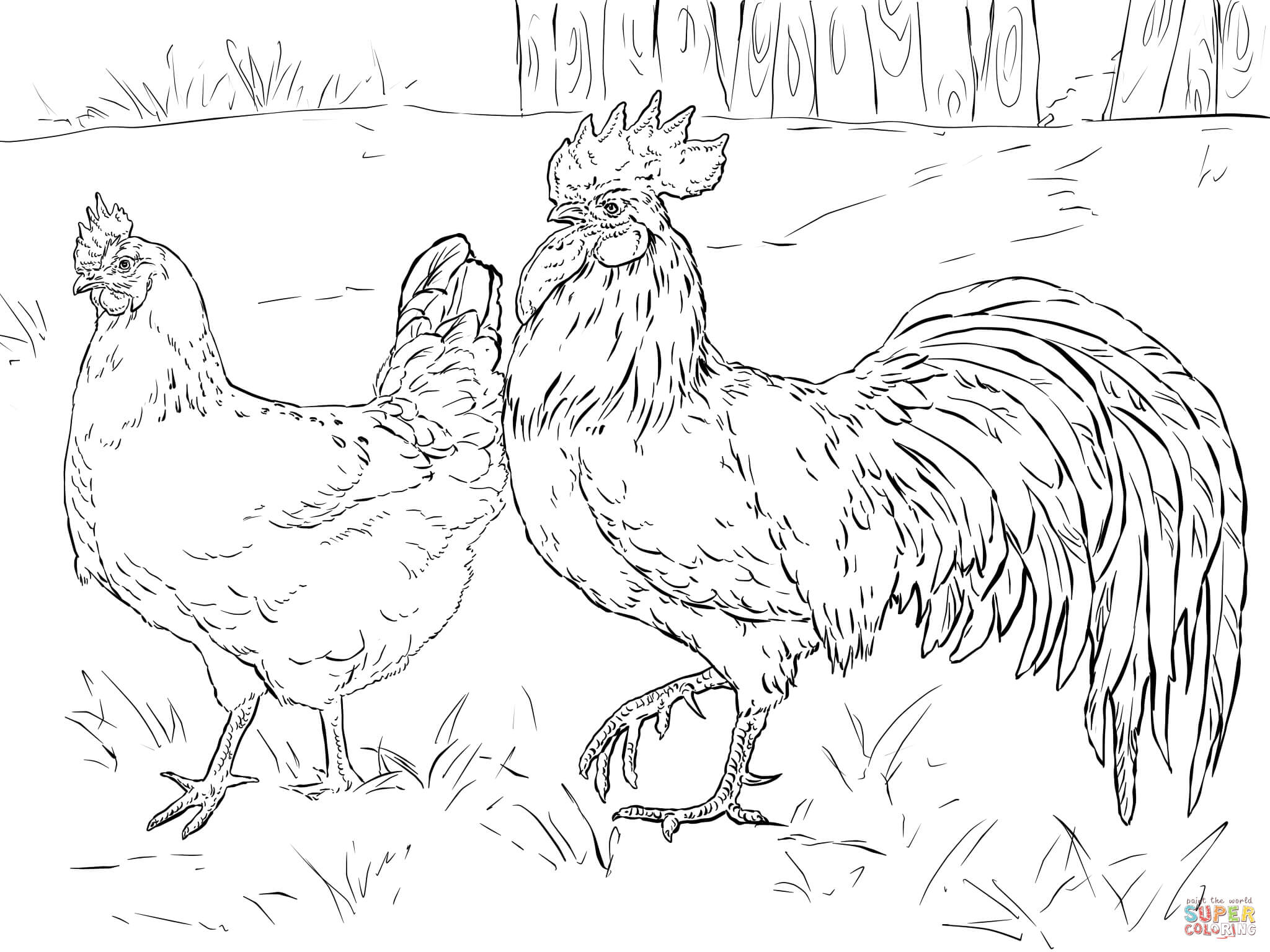 55 Chicken Coloring Book Pages 40