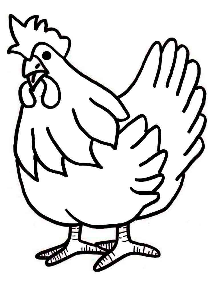 55 Chicken Coloring Book Pages 58