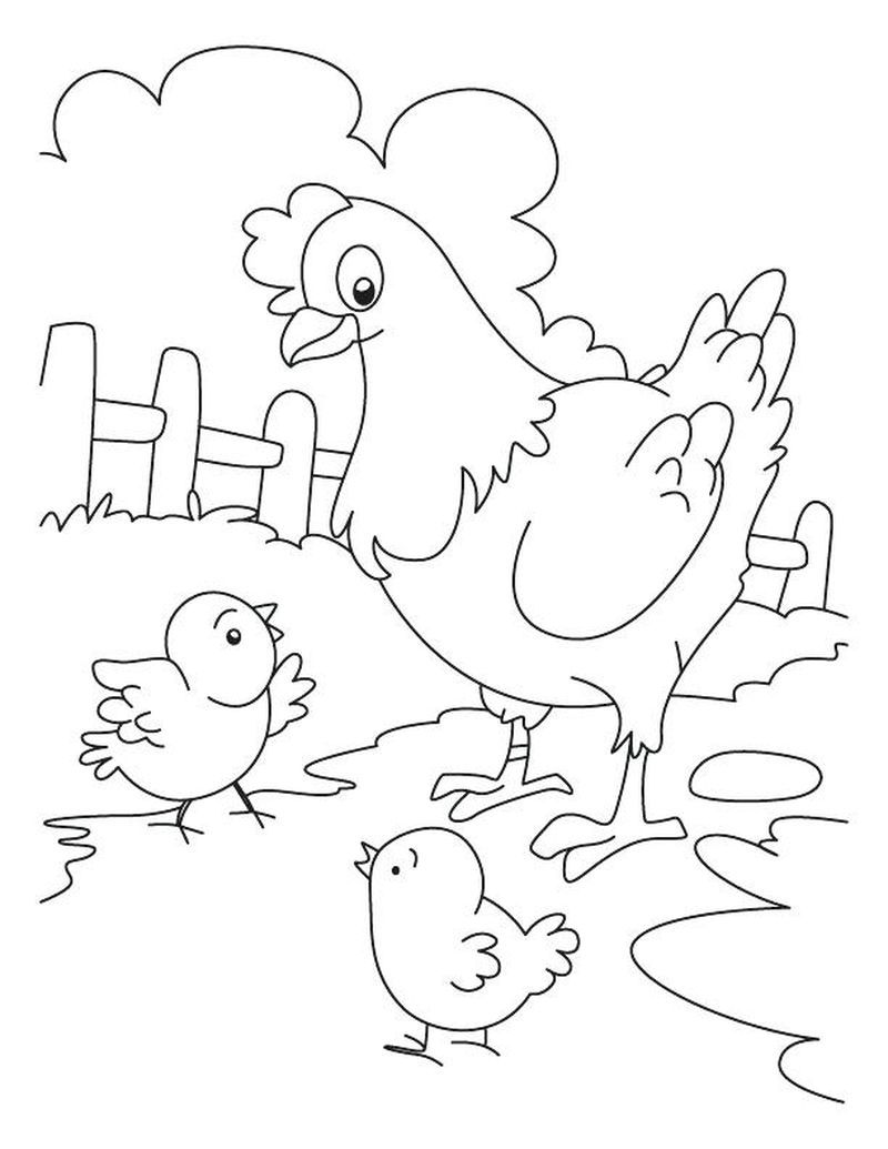 55 Chicken Coloring Book Pages 61