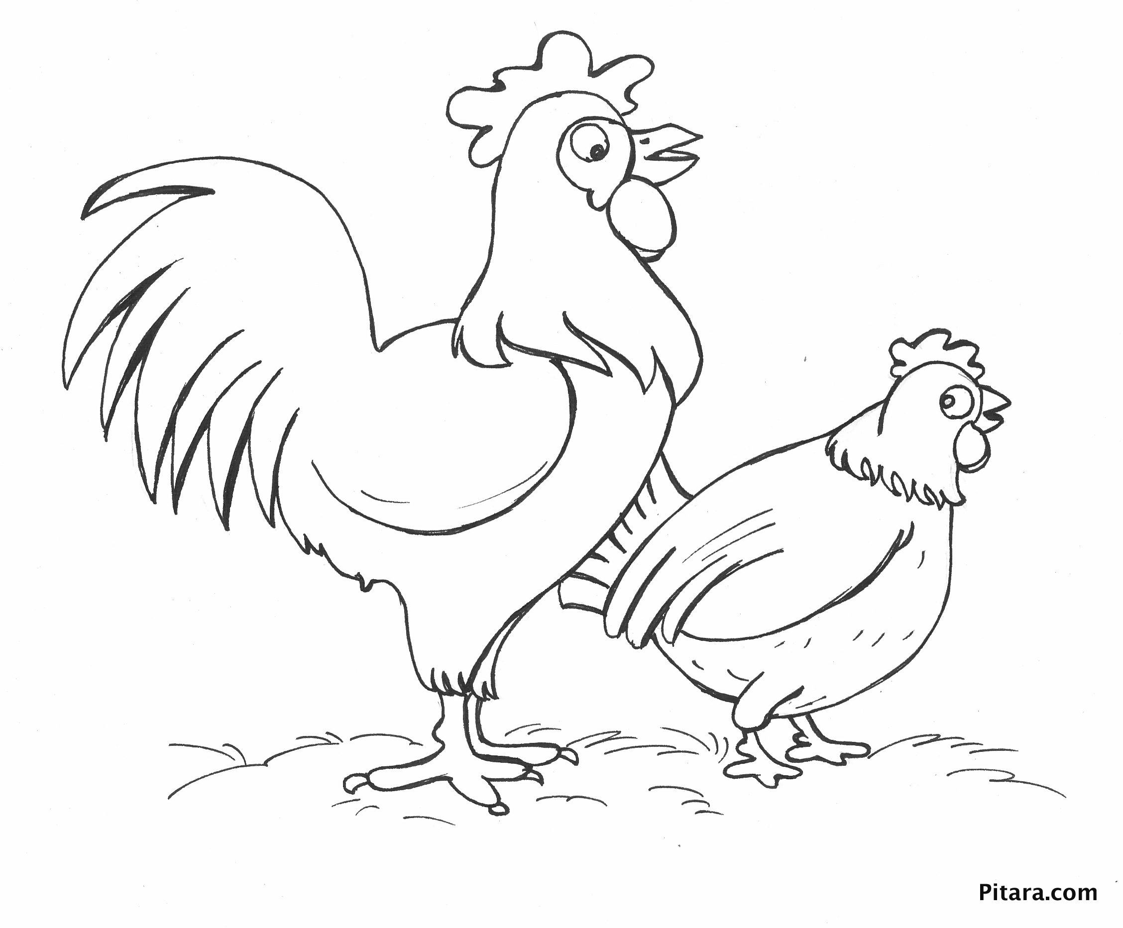 55 Chicken Coloring Book Pages 63