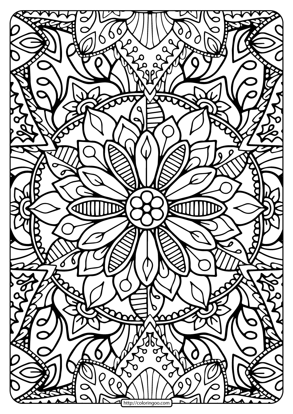 55 Coloring Book Adults 2