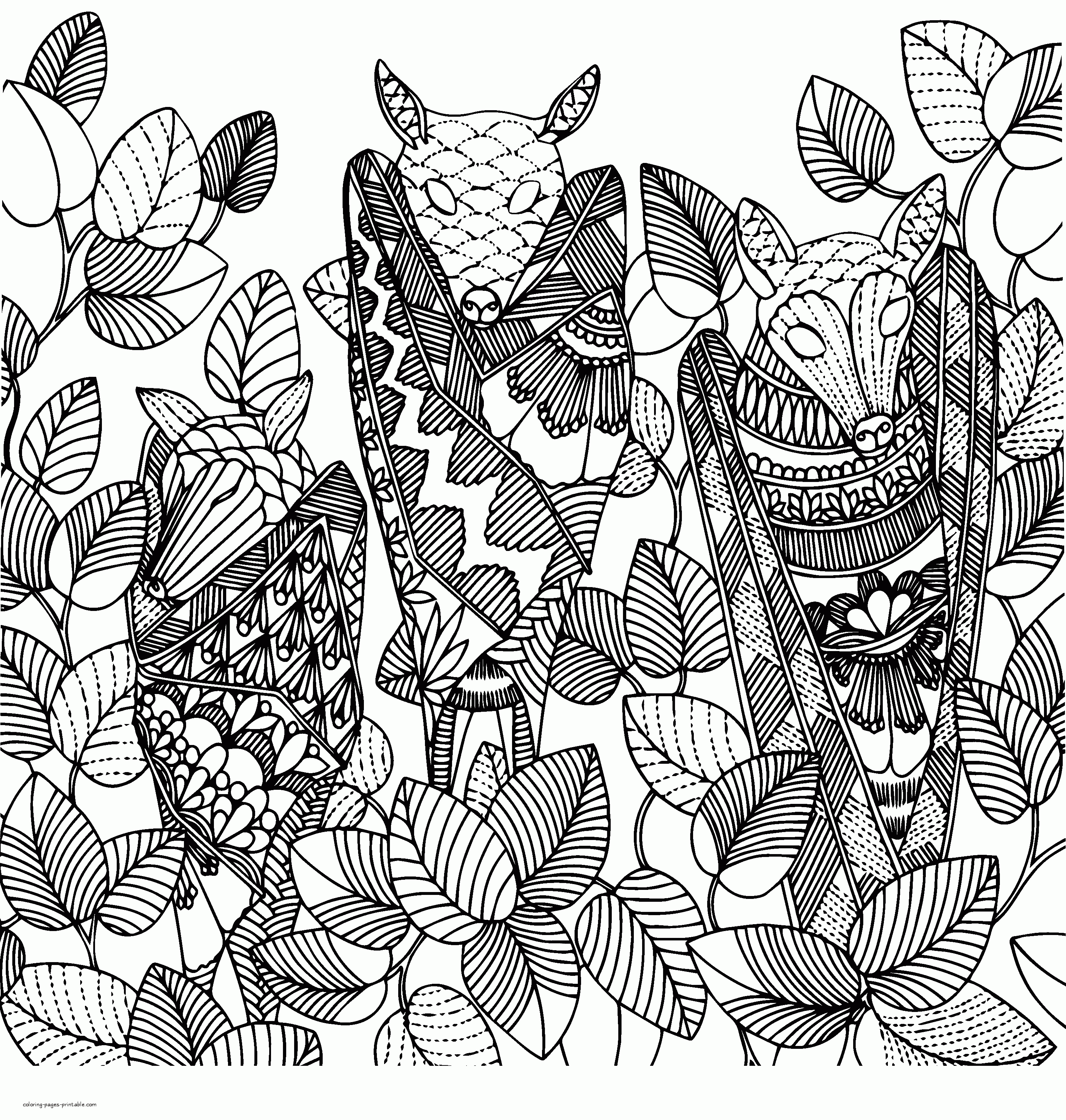 55 Coloring Book Adults 56