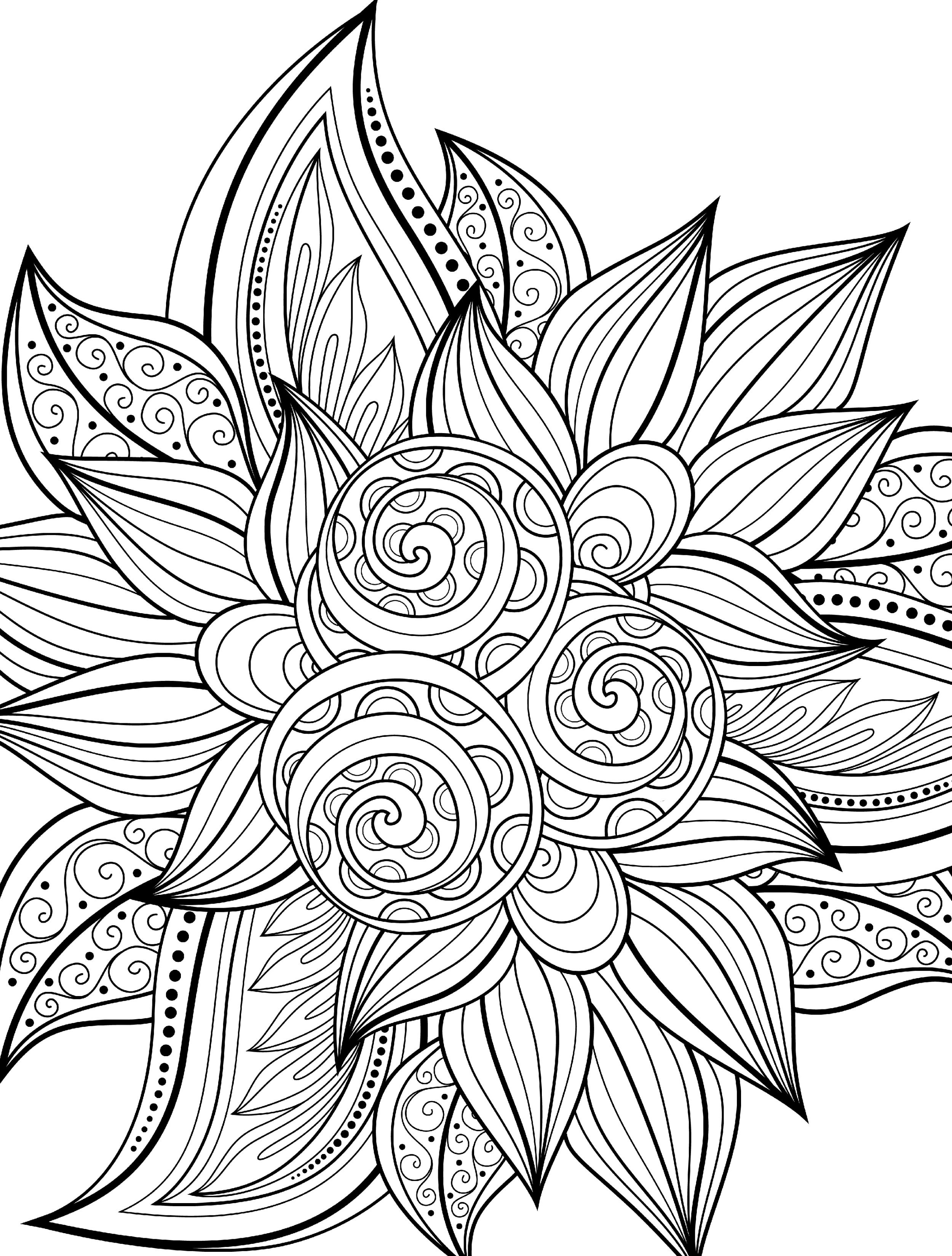 55 Coloring Book Adults 8