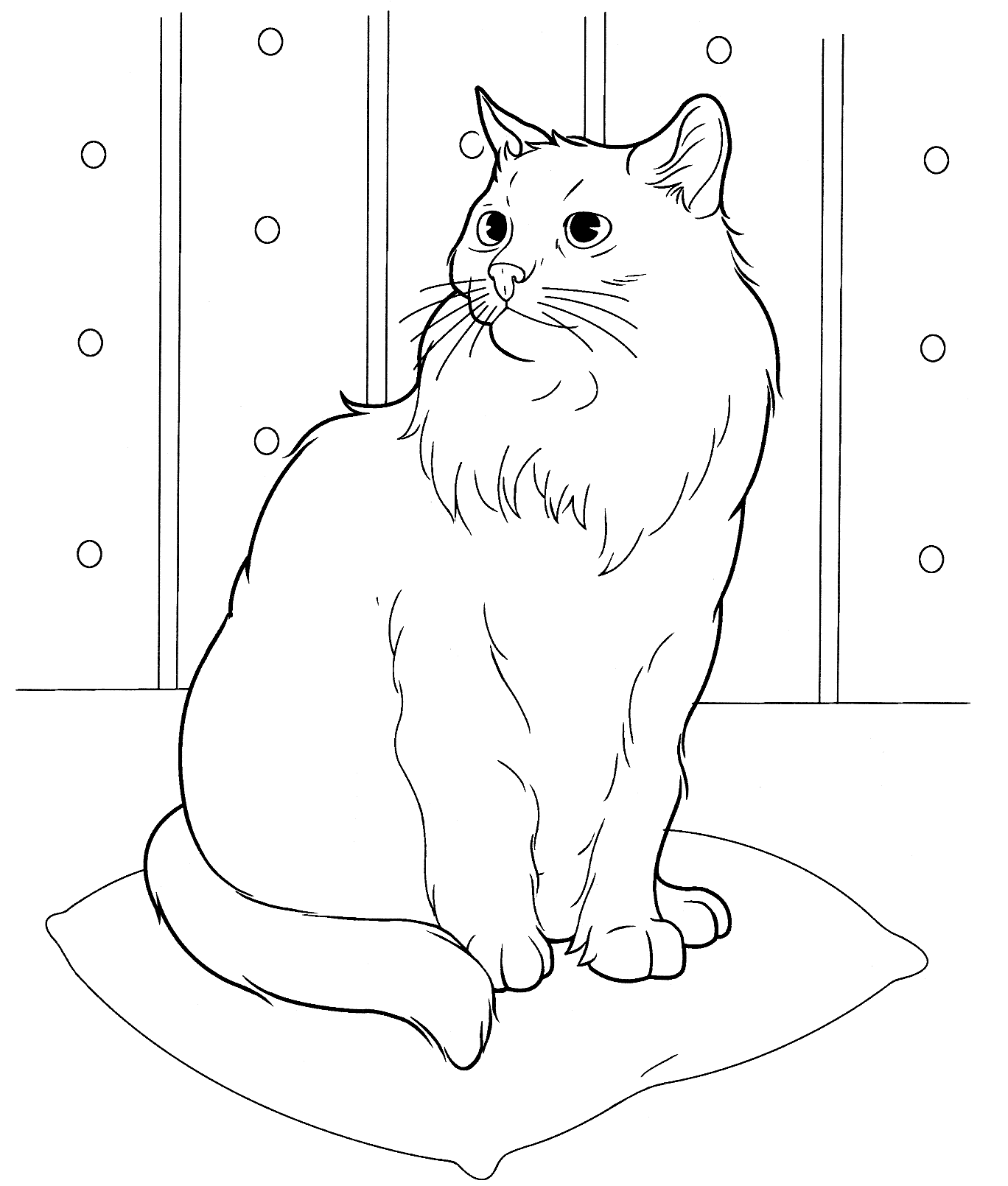 50 Coloring Book Cat 35