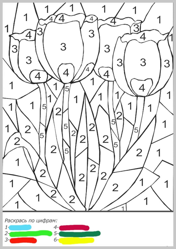 50 Coloring Book Color By Number 5