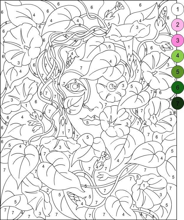 50 Coloring Book Color By Number 54