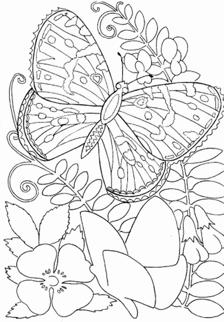 55 Coloring Book For Adults Easy 15