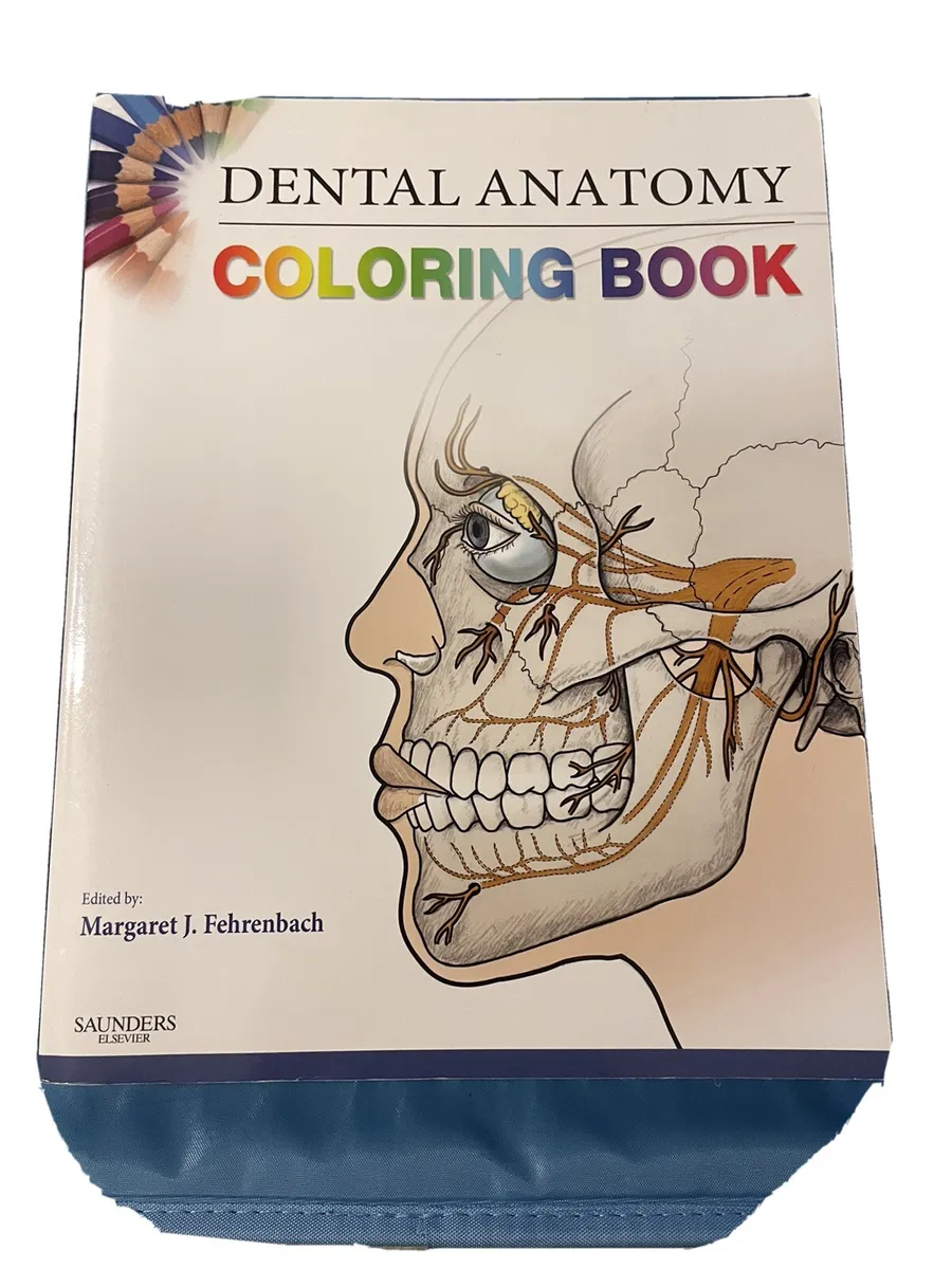 90 Printable Dental Anatomy Coloring Book 94