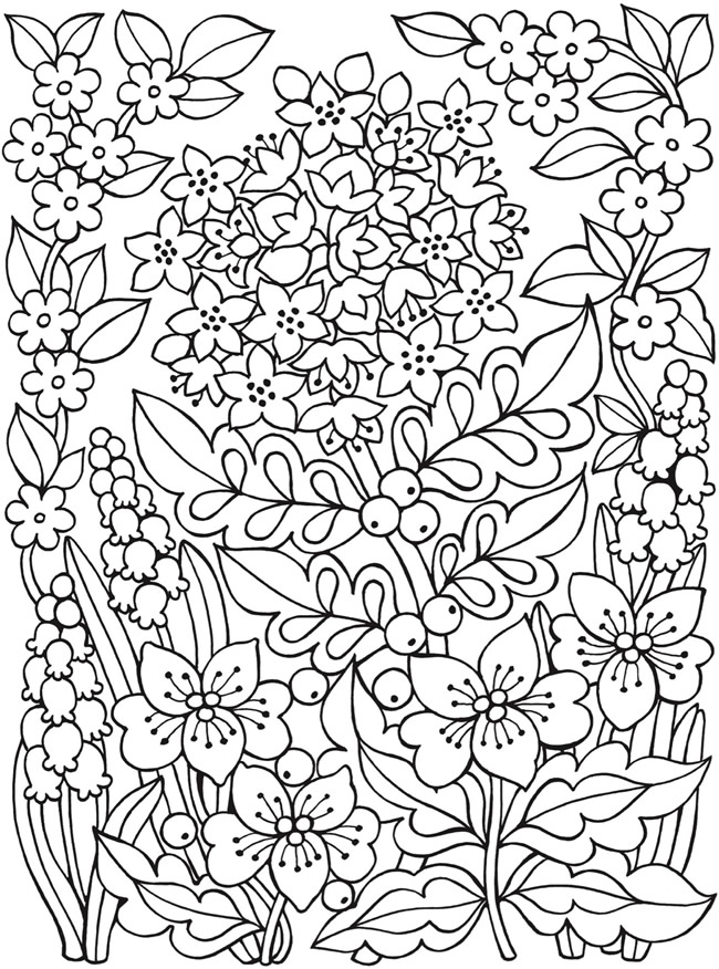 60 Printable Dover Publications Coloring Books 47