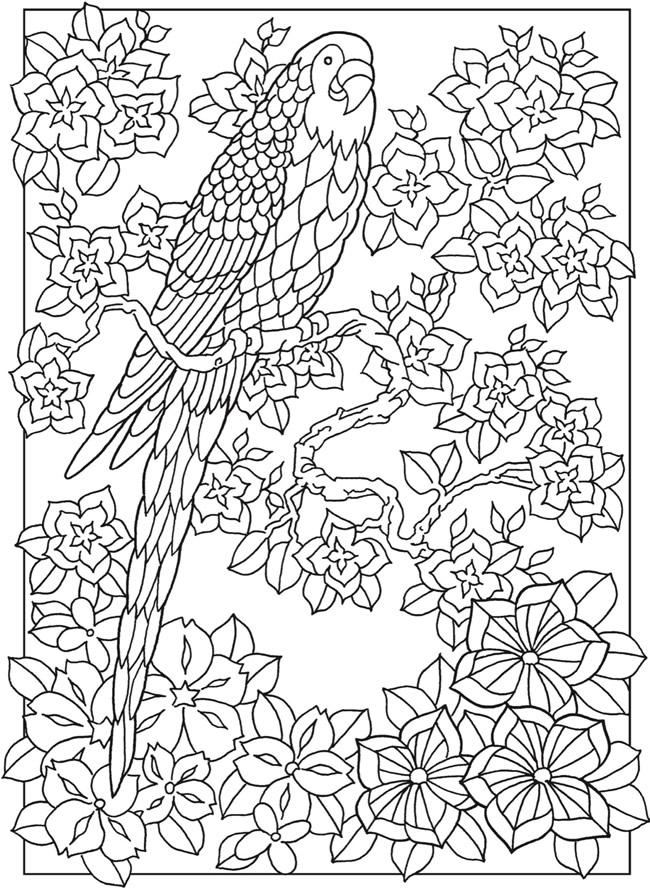 60 Printable Dover Publications Coloring Books 9