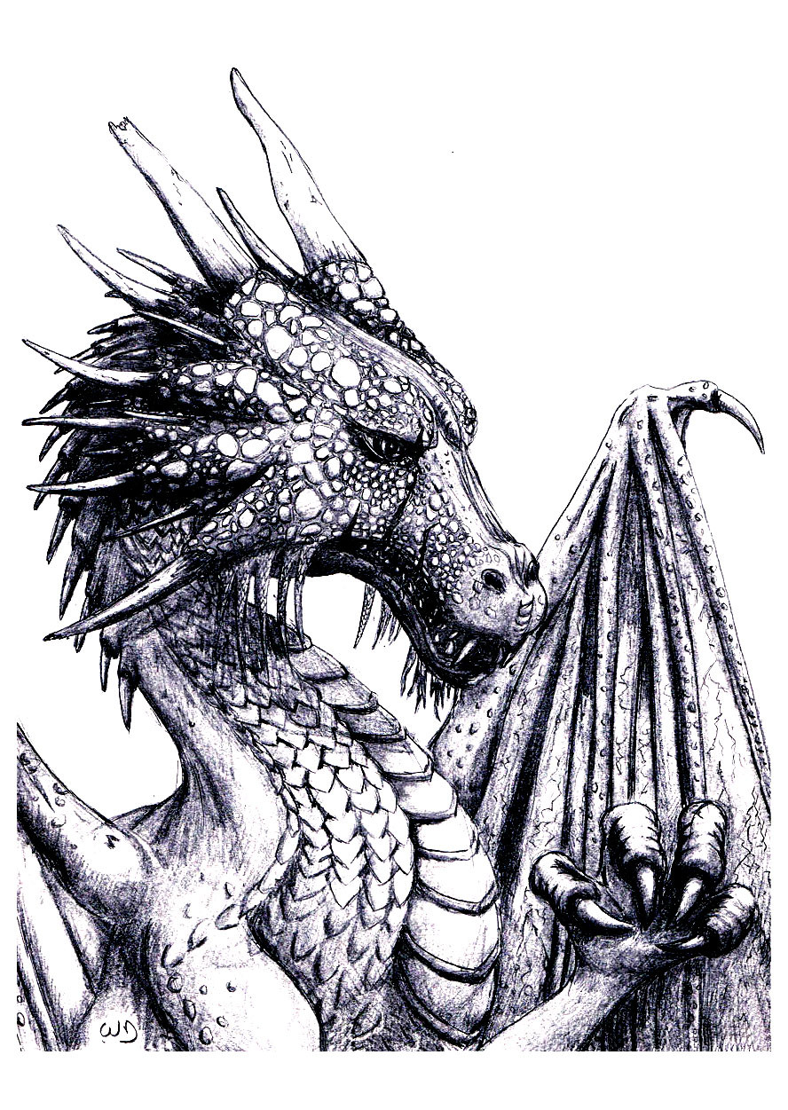 60 Printable Dragon Coloring Books For Adults 29