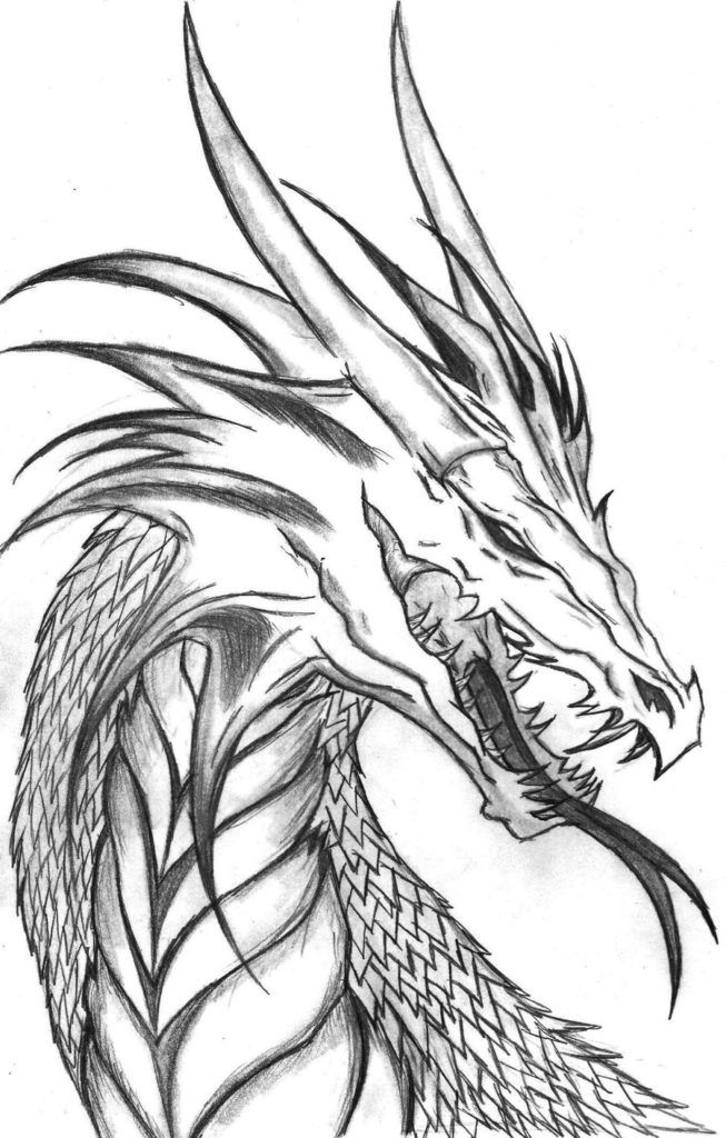 60 Printable Dragon Coloring Books For Adults 35