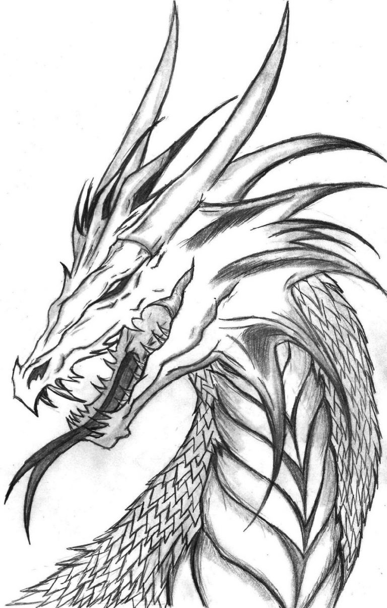 60 Printable Dragon Coloring Books For Adults 52