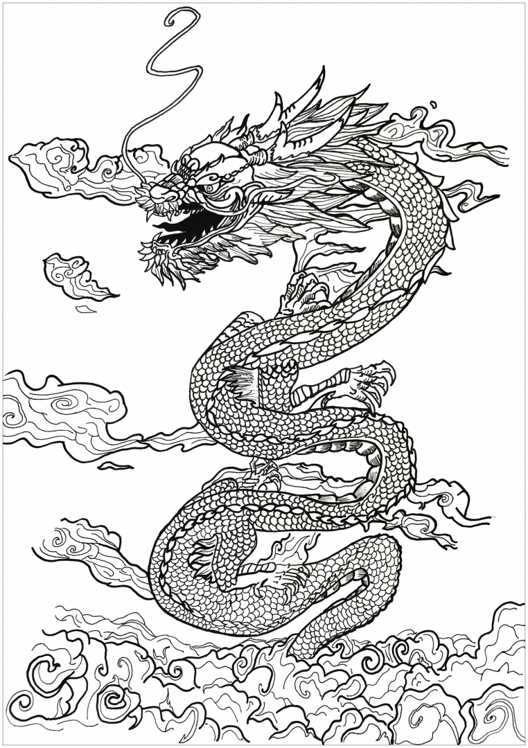 60 Printable Dragon Coloring Books For Adults 57