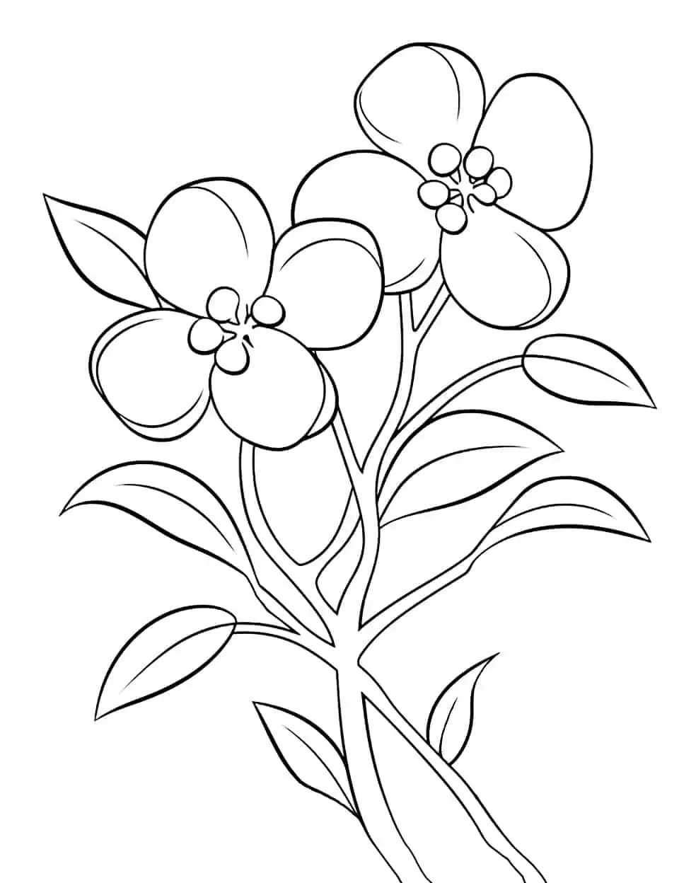 Get 85 Spring Flowers For Coloring Ideas 20