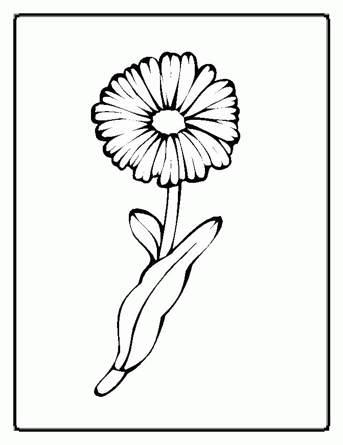 Get 85 Spring Flowers For Coloring Ideas 57