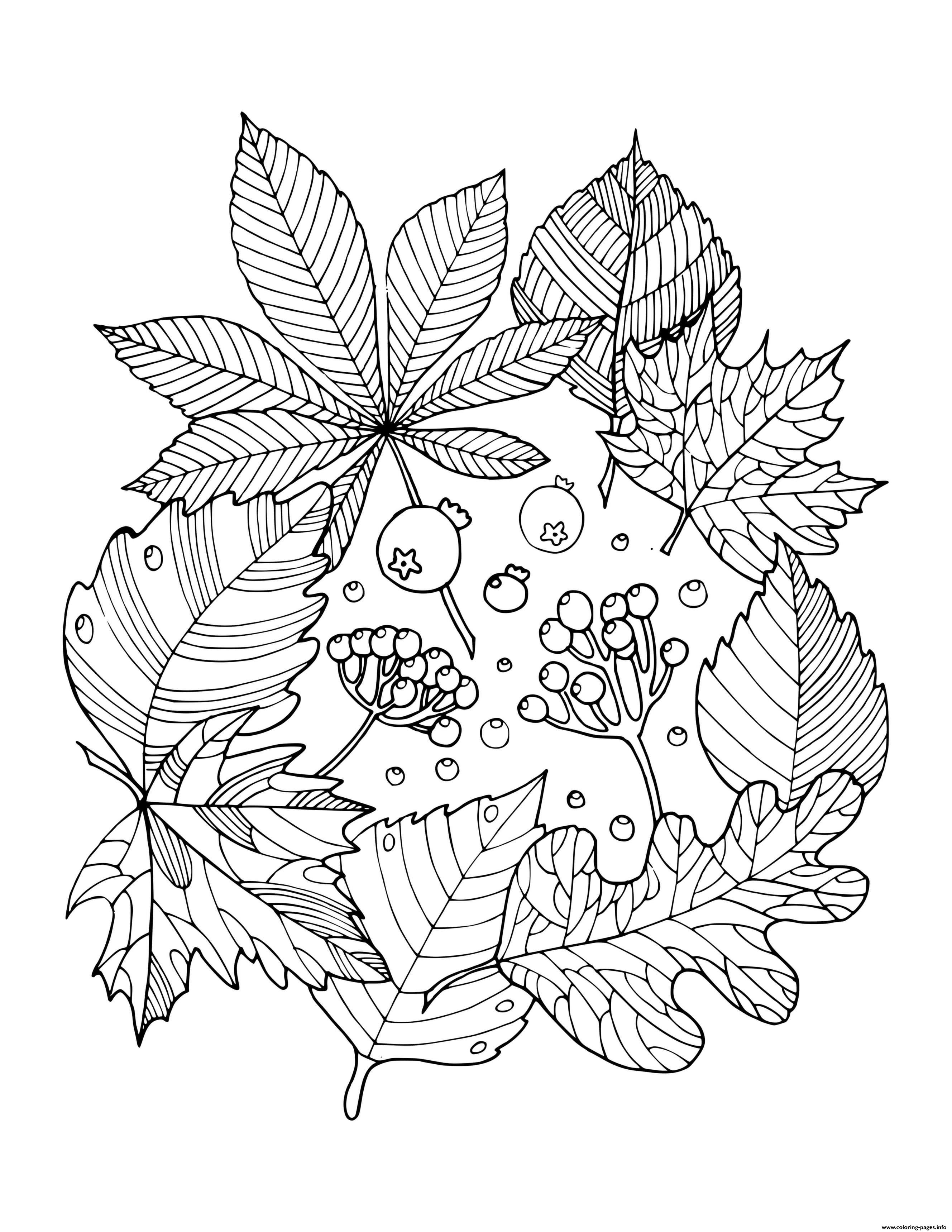 35 Printable Fall Leaves Coloring Book 1