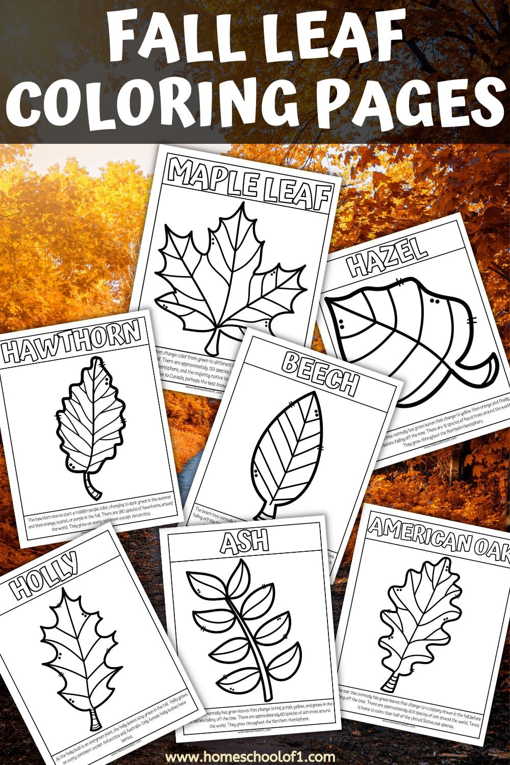 35 Printable Fall Leaves Coloring Book 21