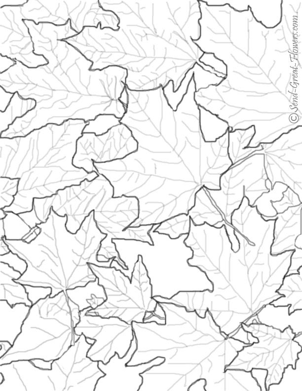 35 Printable Fall Leaves Coloring Book 23