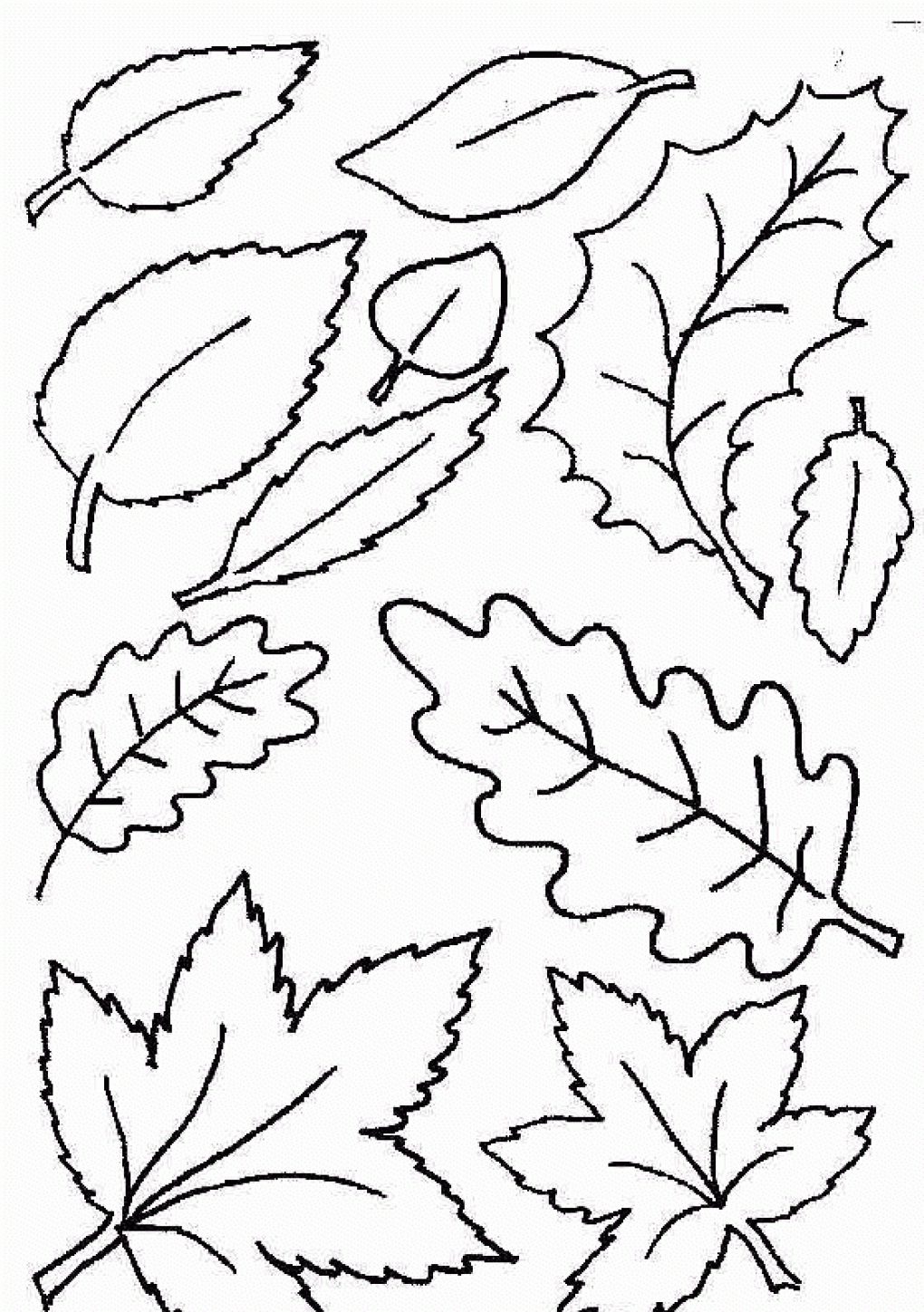 35 Printable Fall Leaves Coloring Book 33