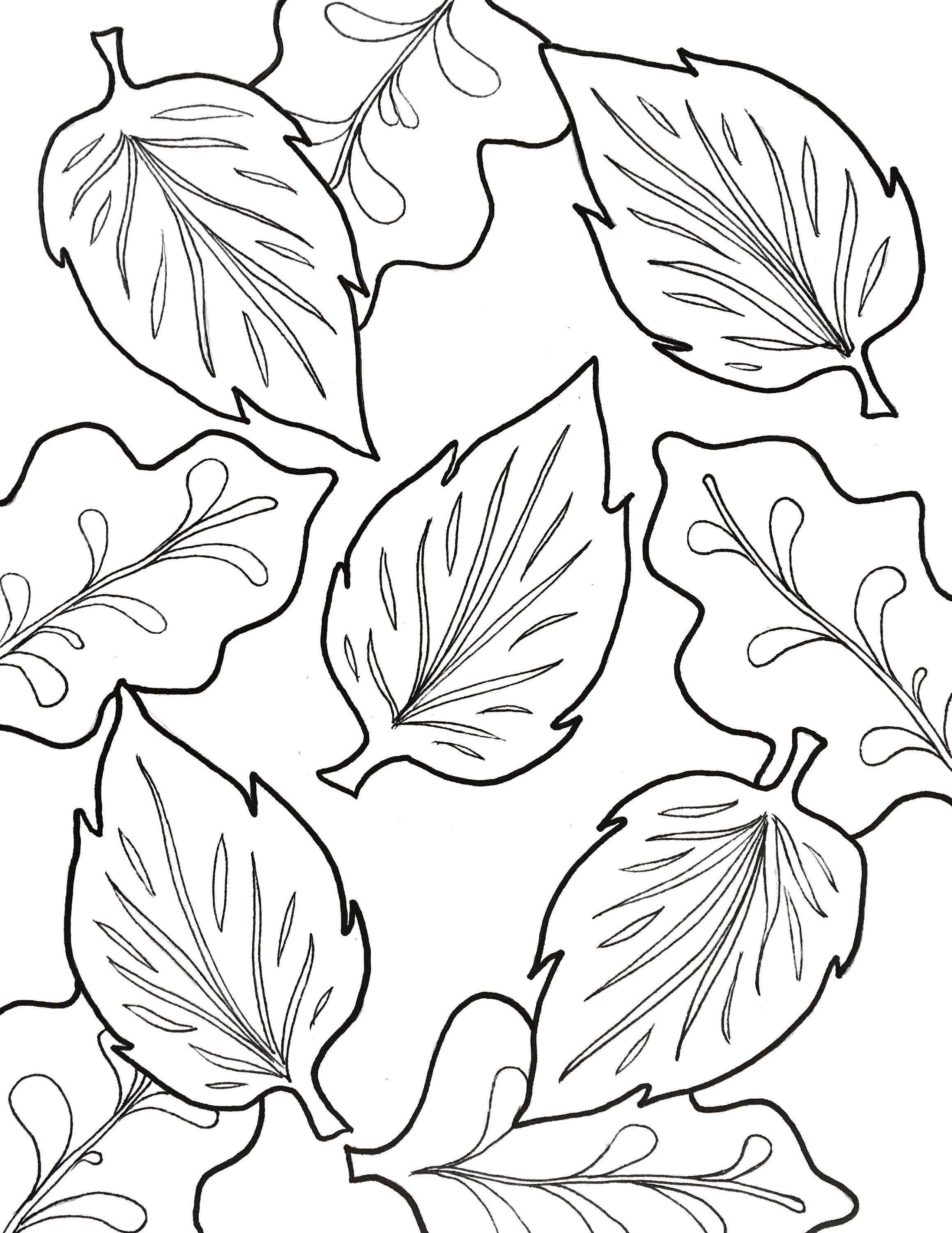 35 Printable Fall Leaves Coloring Book 34