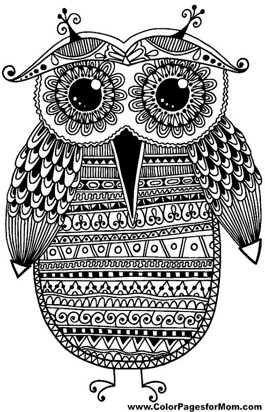 Save 60 Coloring Pages Of Owls For Adults Ideas 10