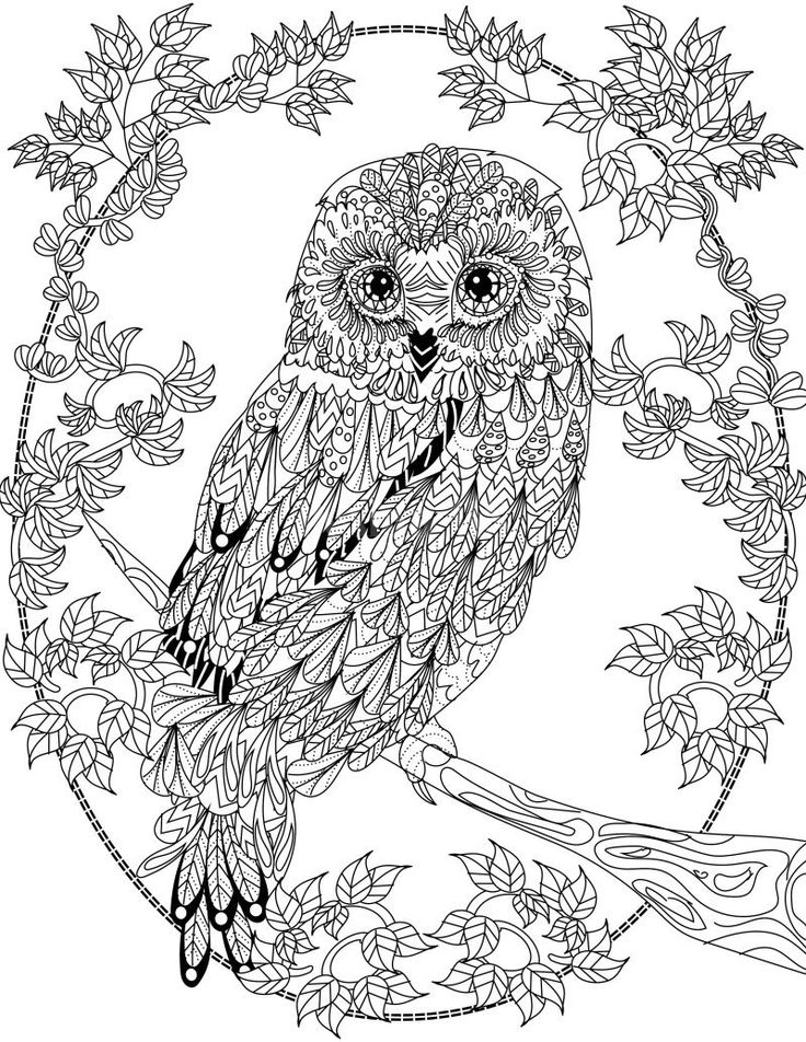 Save 60 Coloring Pages Of Owls For Adults Ideas 50