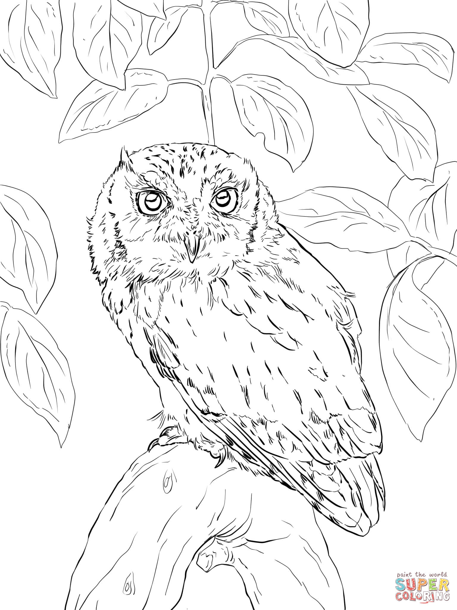 Save 60 Coloring Pages Of Owls For Adults Ideas 56