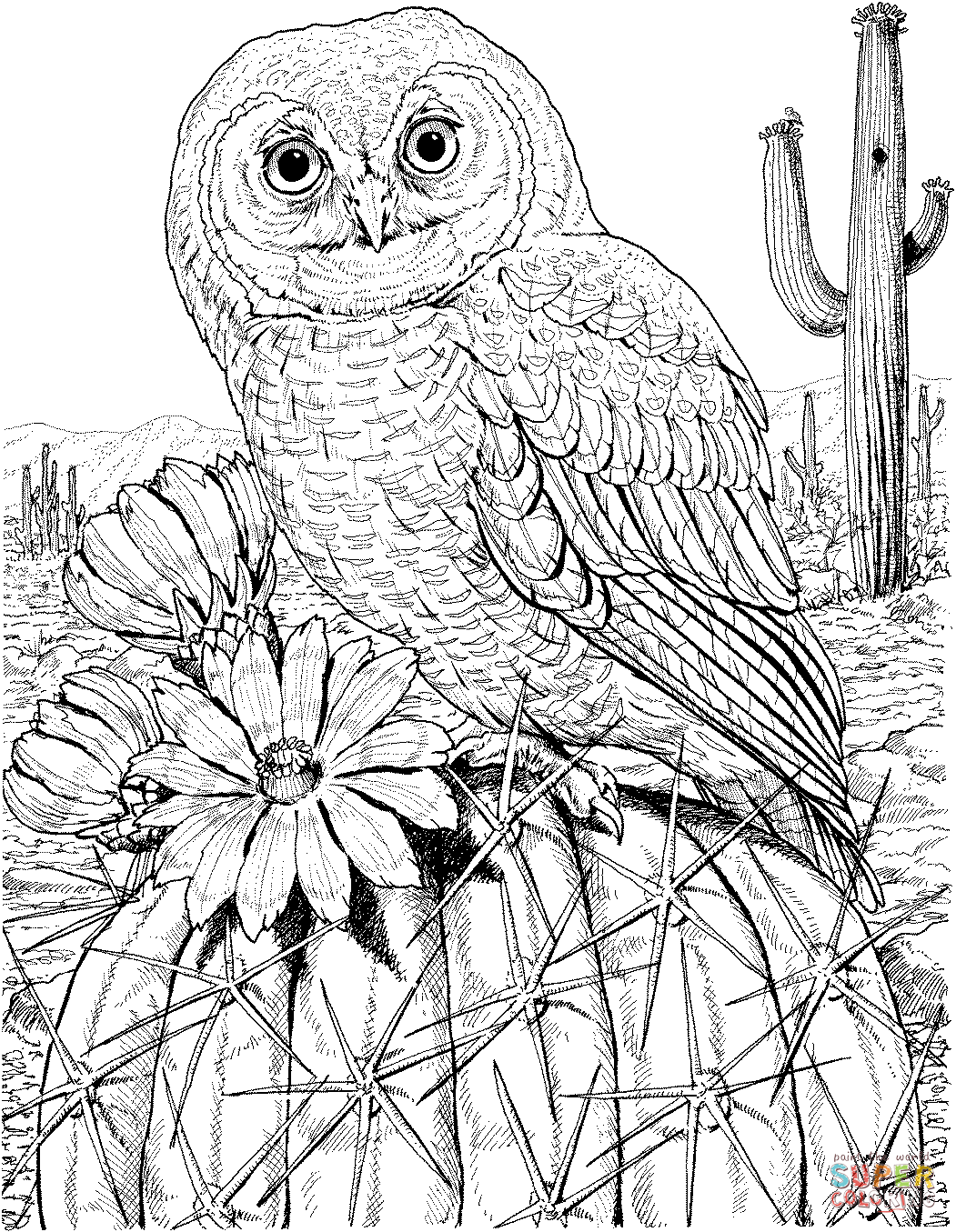 Save 60 Coloring Pages Of Owls For Adults Ideas 8